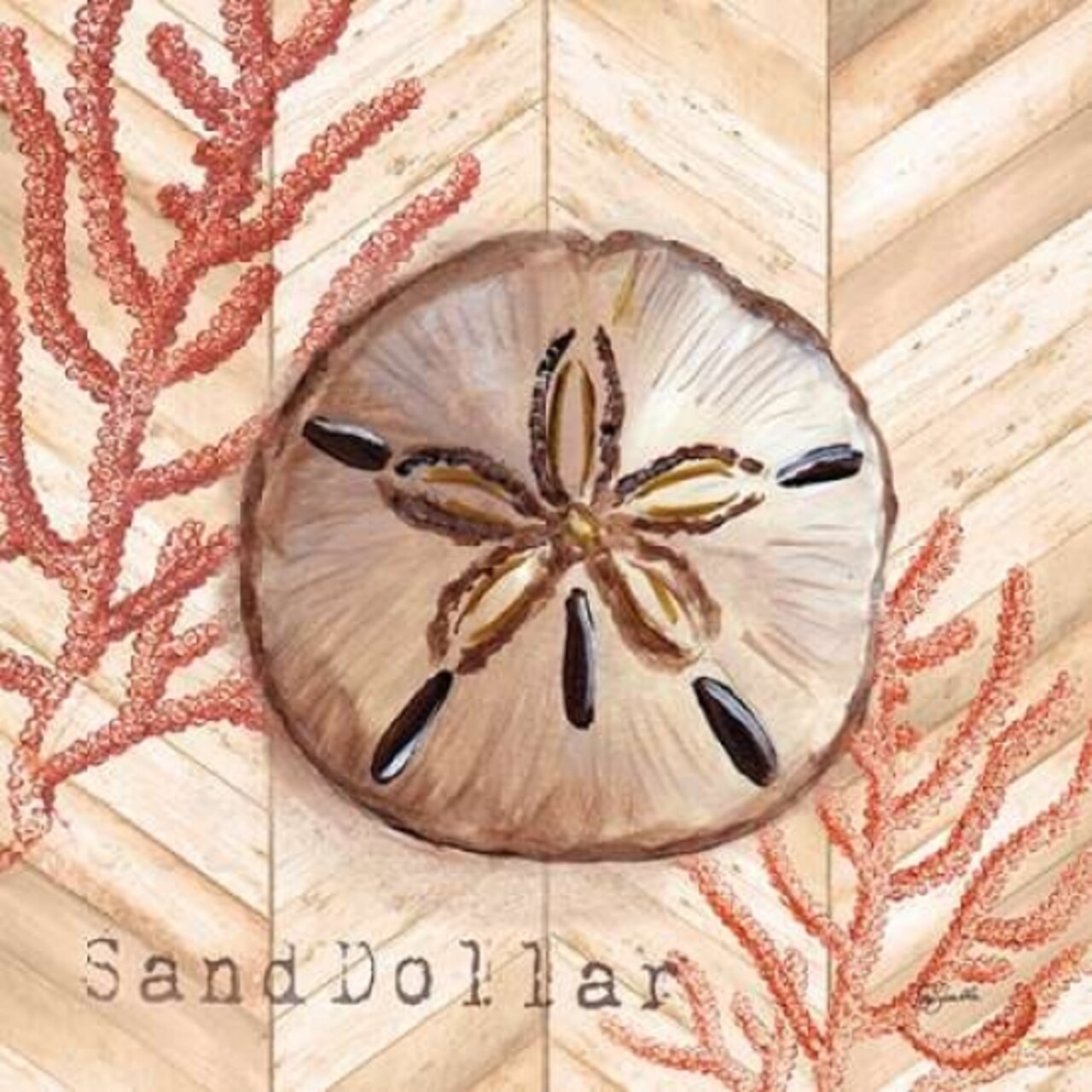 Chevron Shells Coral II Poster Print by Tre Sorelle Studios - Item # VARPDXRB9955TS